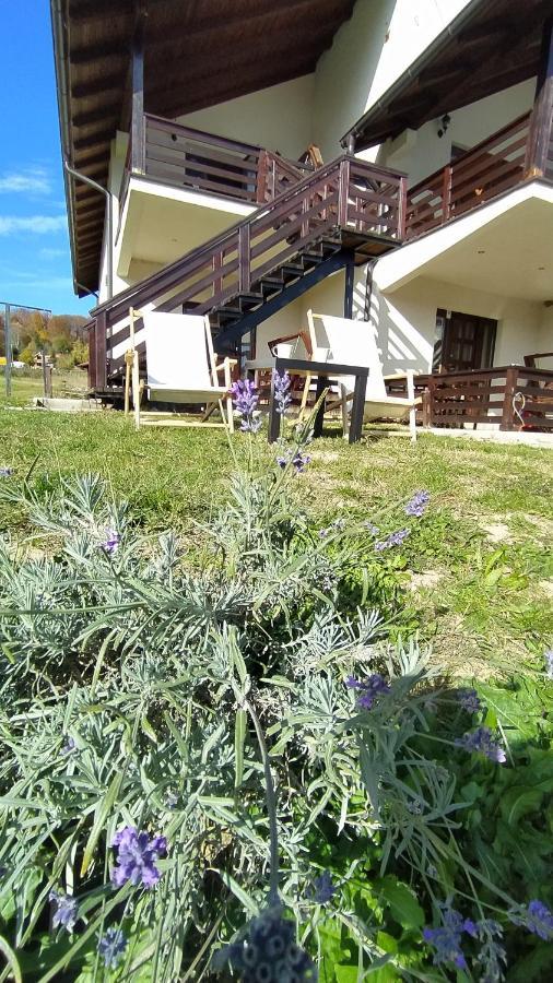 Apartman Draskovic - Goc Esterno foto